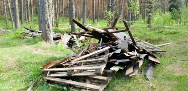 Debris Removal Service in Snohomish