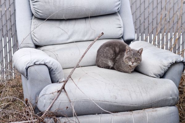Recliner Disposal in Snohomish