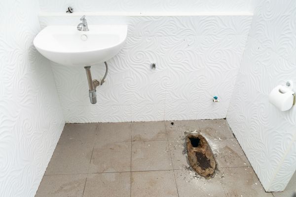 Toilet Disposal in Snohomish